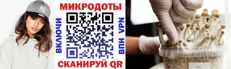 Псилоцибиновые грибы GOLDEN TEACHER  Яранск 